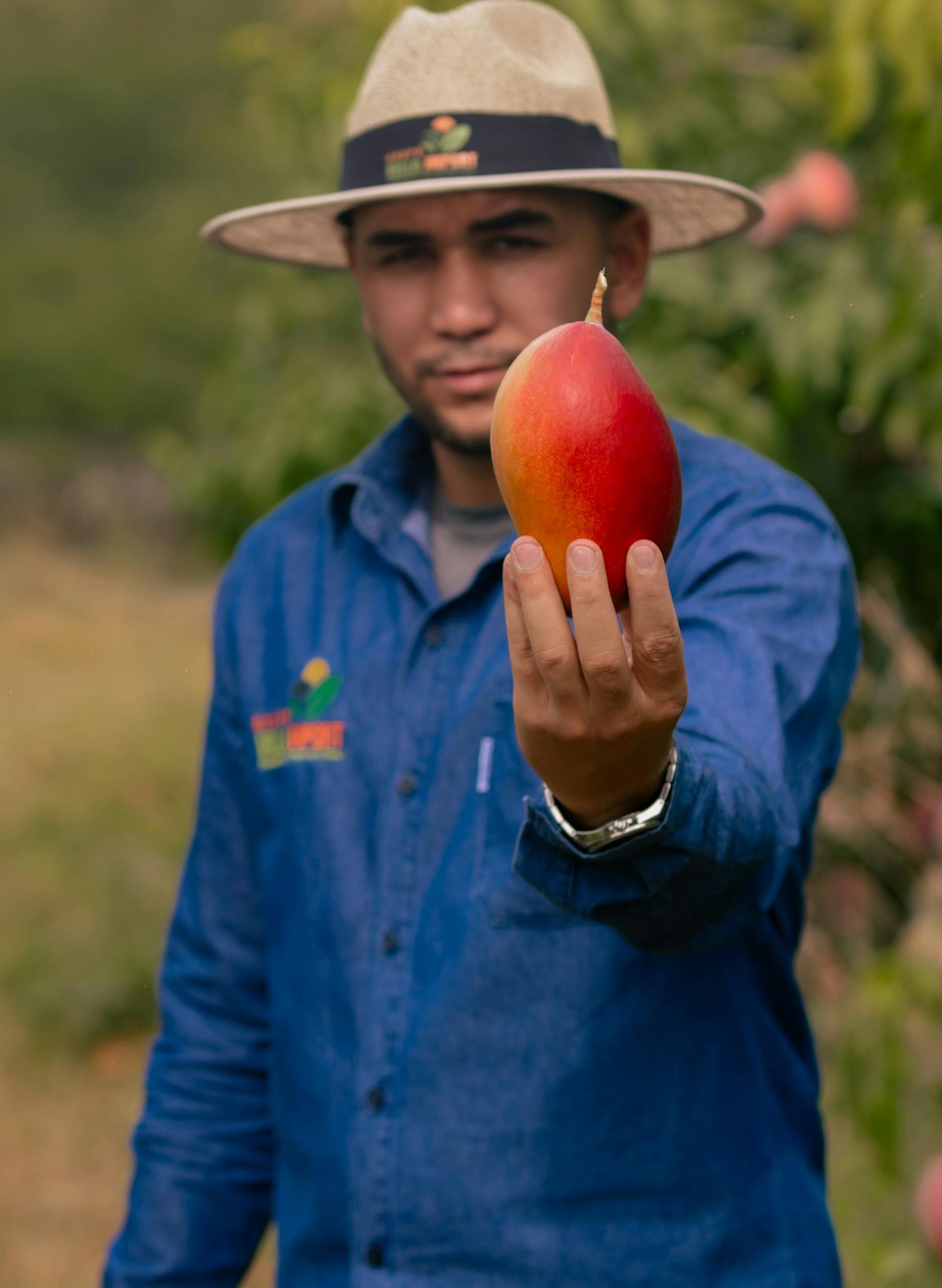 pexels pedrofurtadoo 31095026